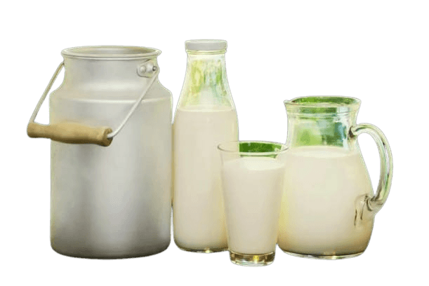Bebidas Lácteas